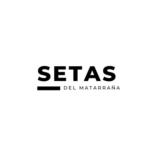 Setas Matarraña
